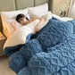 Premium Thickened Winter Warm Blankets for Beds