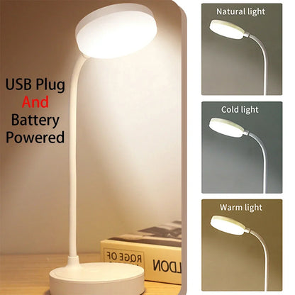 Portable LED Desk Lamp