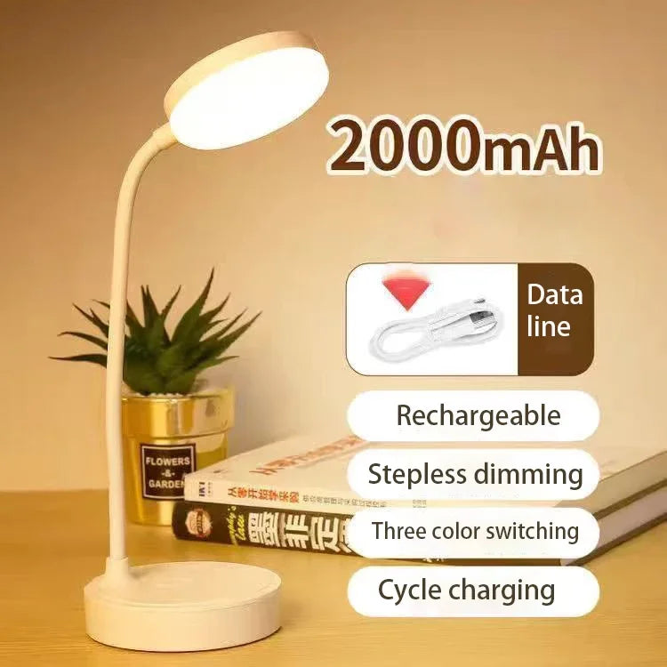 Portable LED Desk Lamp
