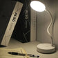 Portable LED Desk Lamp