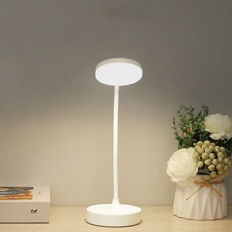 Portable LED Desk Lamp