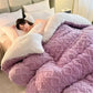 Premium Thickened Winter Warm Blankets for Beds