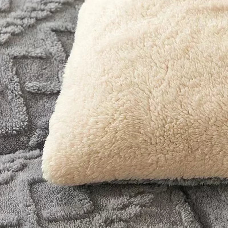 Premium Thickened Winter Warm Blankets for Beds